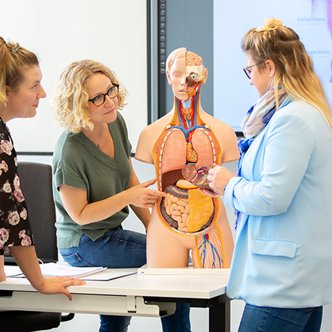 Zwei Lehrerinnen erklären einer Auszubildenden etwas an einem Torso-Modell im Klassenzimmer der Pflegeakademie.